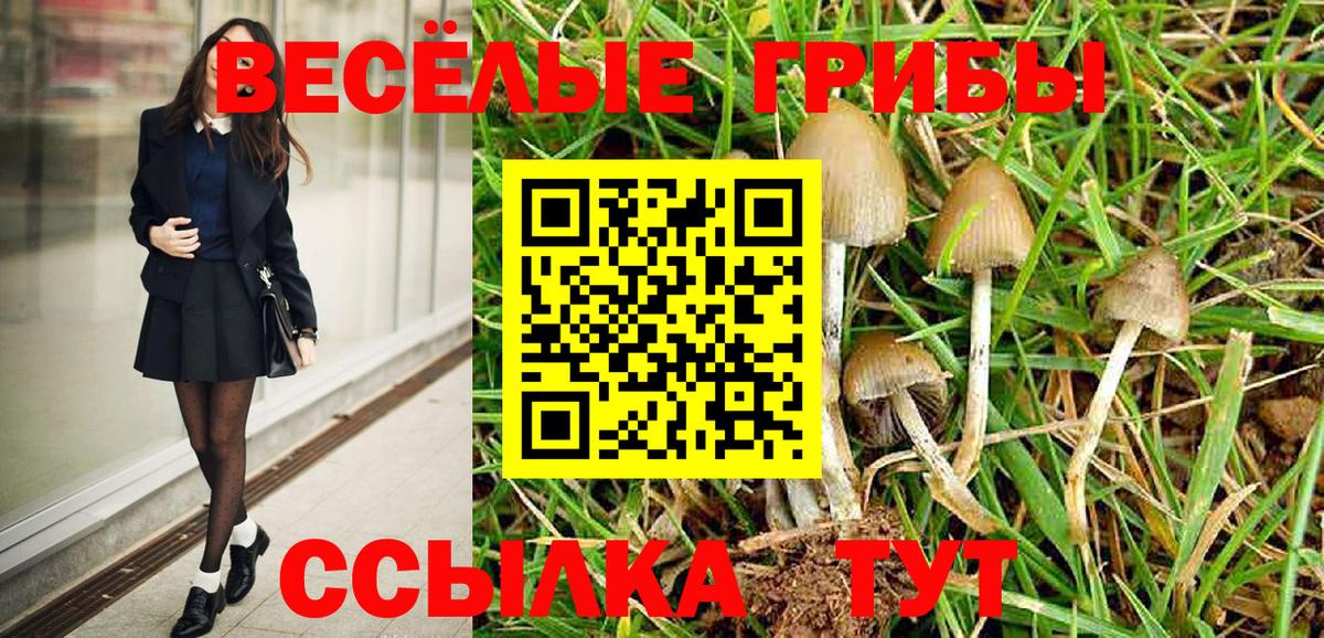 Псилоцибиновые грибы Psilocybine cubensis  Вход с VPN  купить наркоту  Ухта 